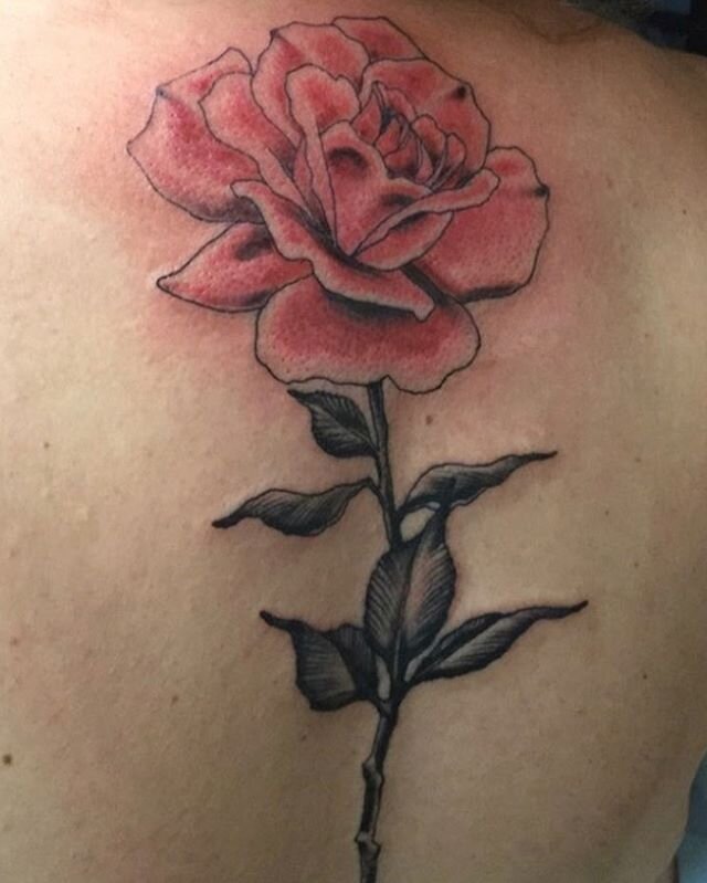 Another stunning flower by Alex! #yyc #yyctattoo #yyctattooartist #flowertattoo #studiophitattoos #alexzgudtattoos #backtattoo