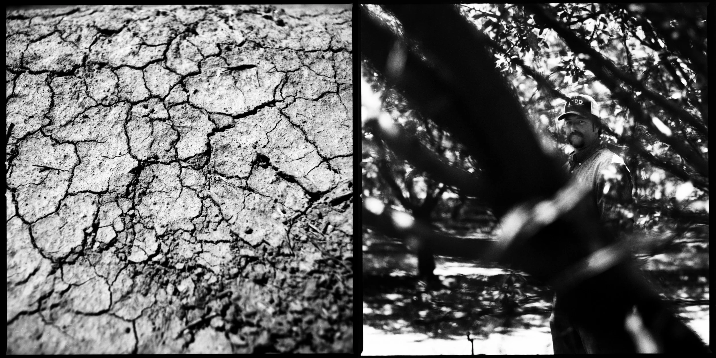  Matthew Efird who's family has been faming the same land for five generations stands in amongst the almond tress and is very worried about the future of his farm and if the drought continues fears he could be the last generation to farm. (John Lehma
