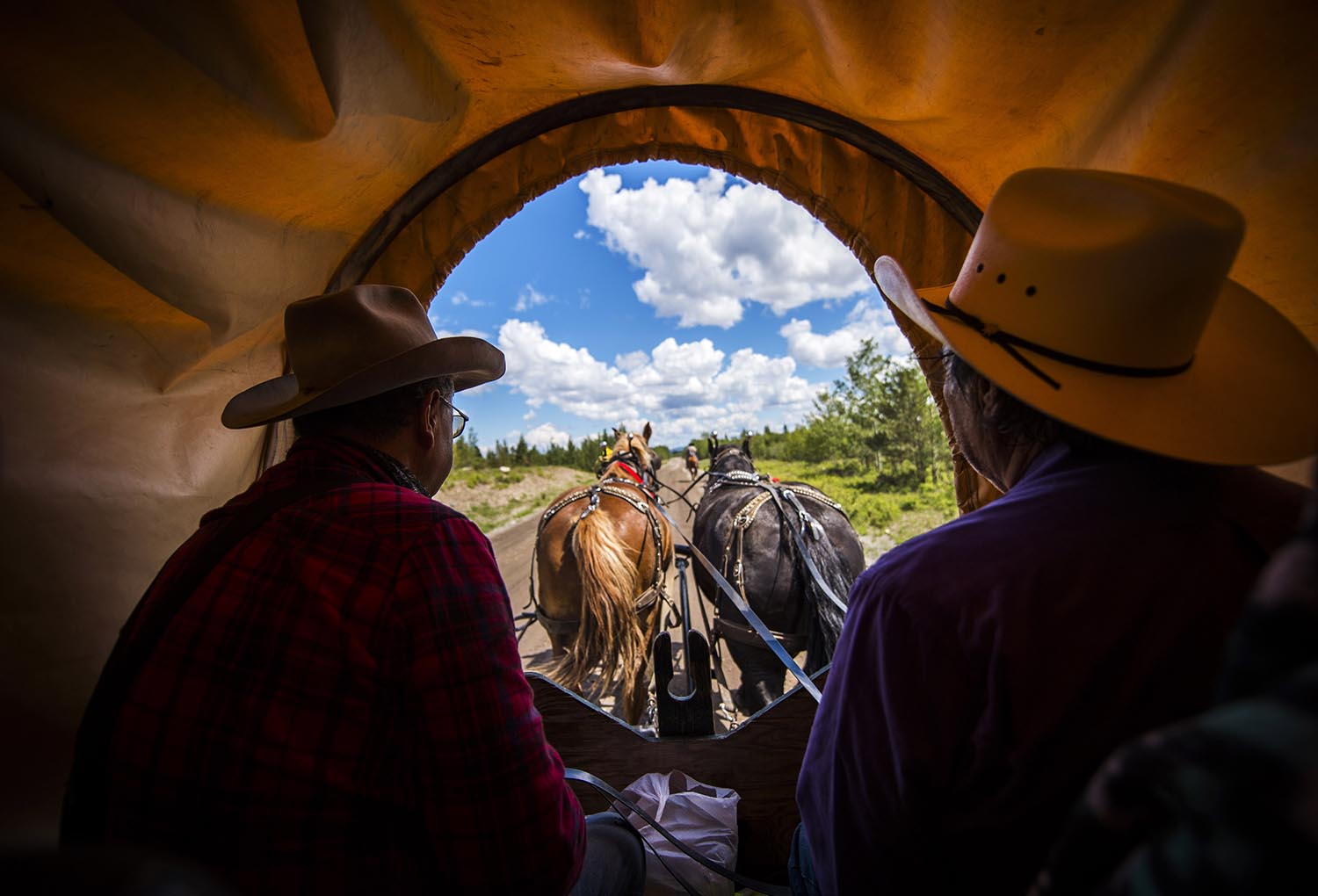 Roy Mulvahill and Marvin William ride in a covered wagon during the Xeni Gwet'in Youth Wagon Trip June 23, 2015. The eight day trip starts in the Nemiah Valley and ends up in Williams Lake for the start of the Williams Lake Rodeo. (John Lehmann/The Globe and Mail)