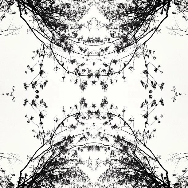 VISUAL DESIGN { Spotted Sky } 