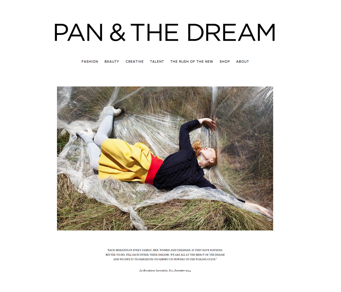 PAN & THE DREAM