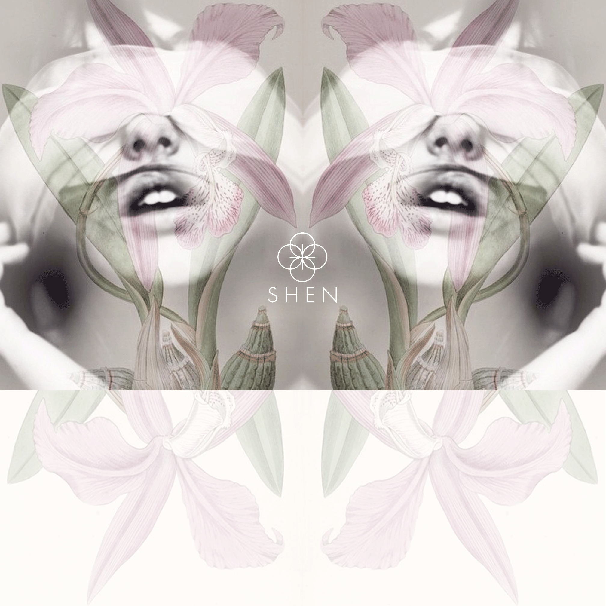SHEN_2.gif