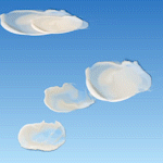 laMer_clouds_4_2_loop_2.gif