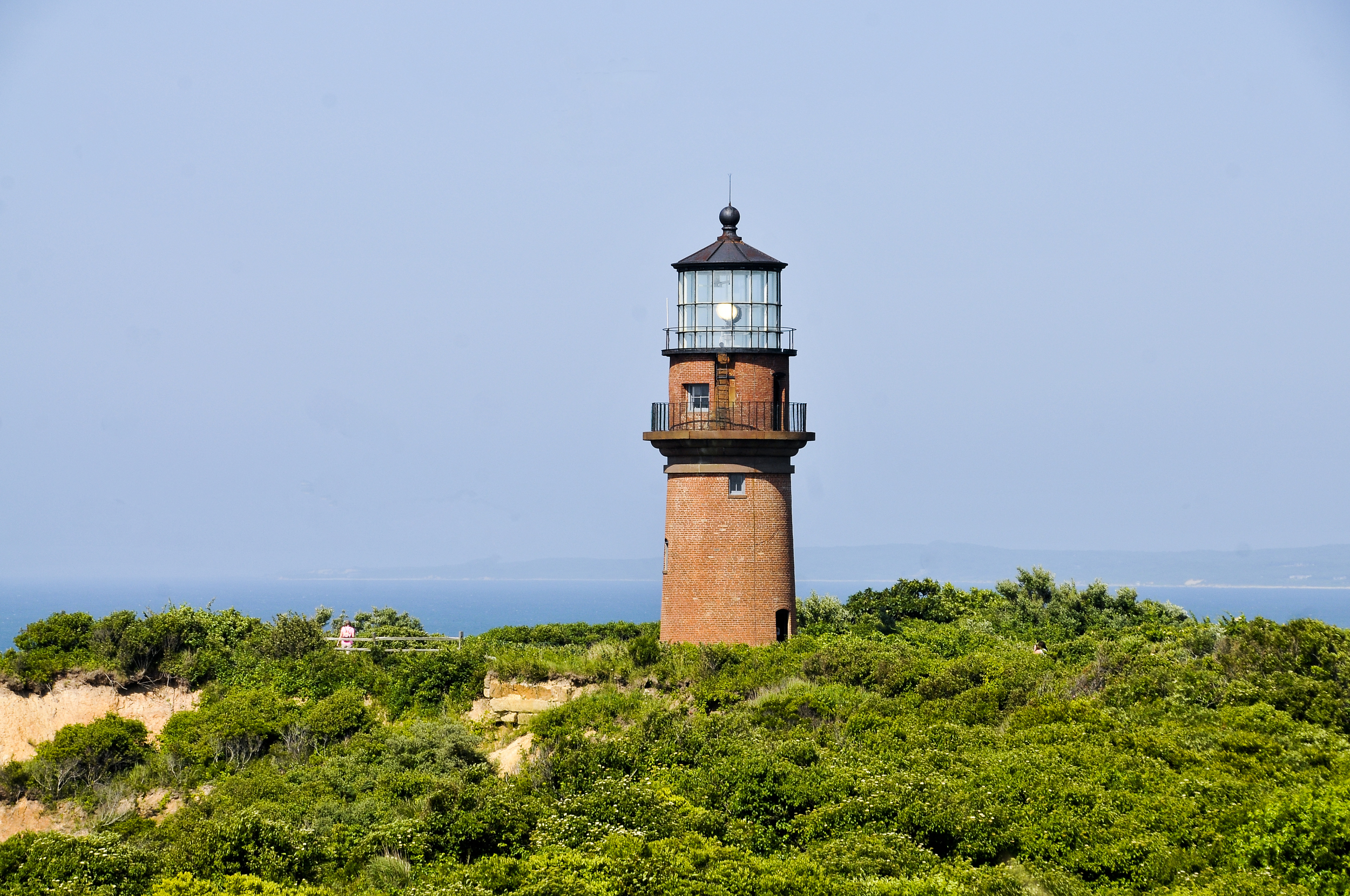 DSC_2972.jpg
