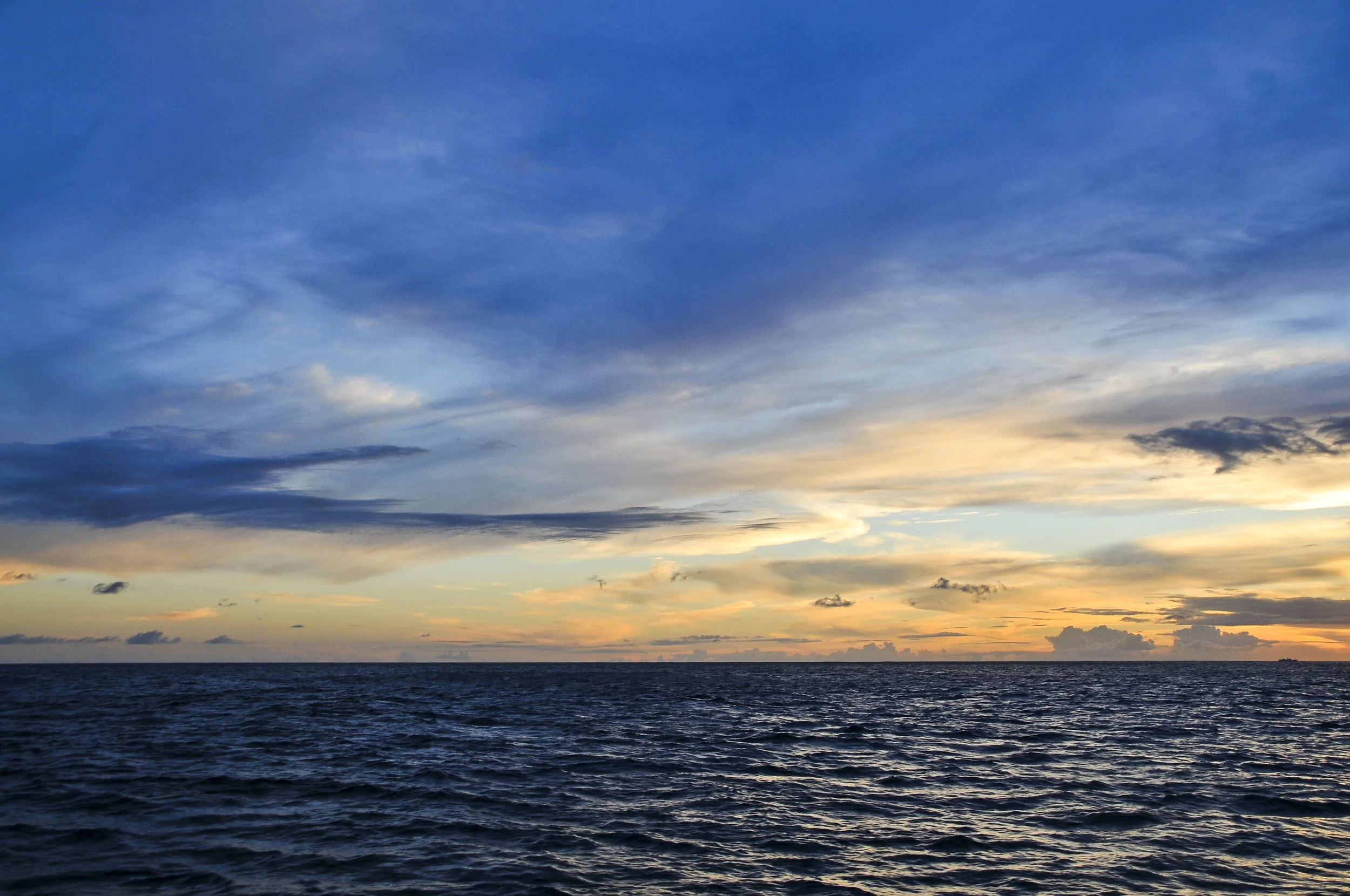 DSC_5604.jpg