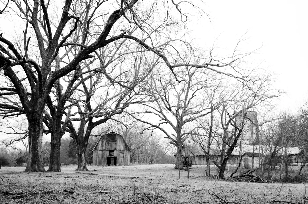 barn.jpg