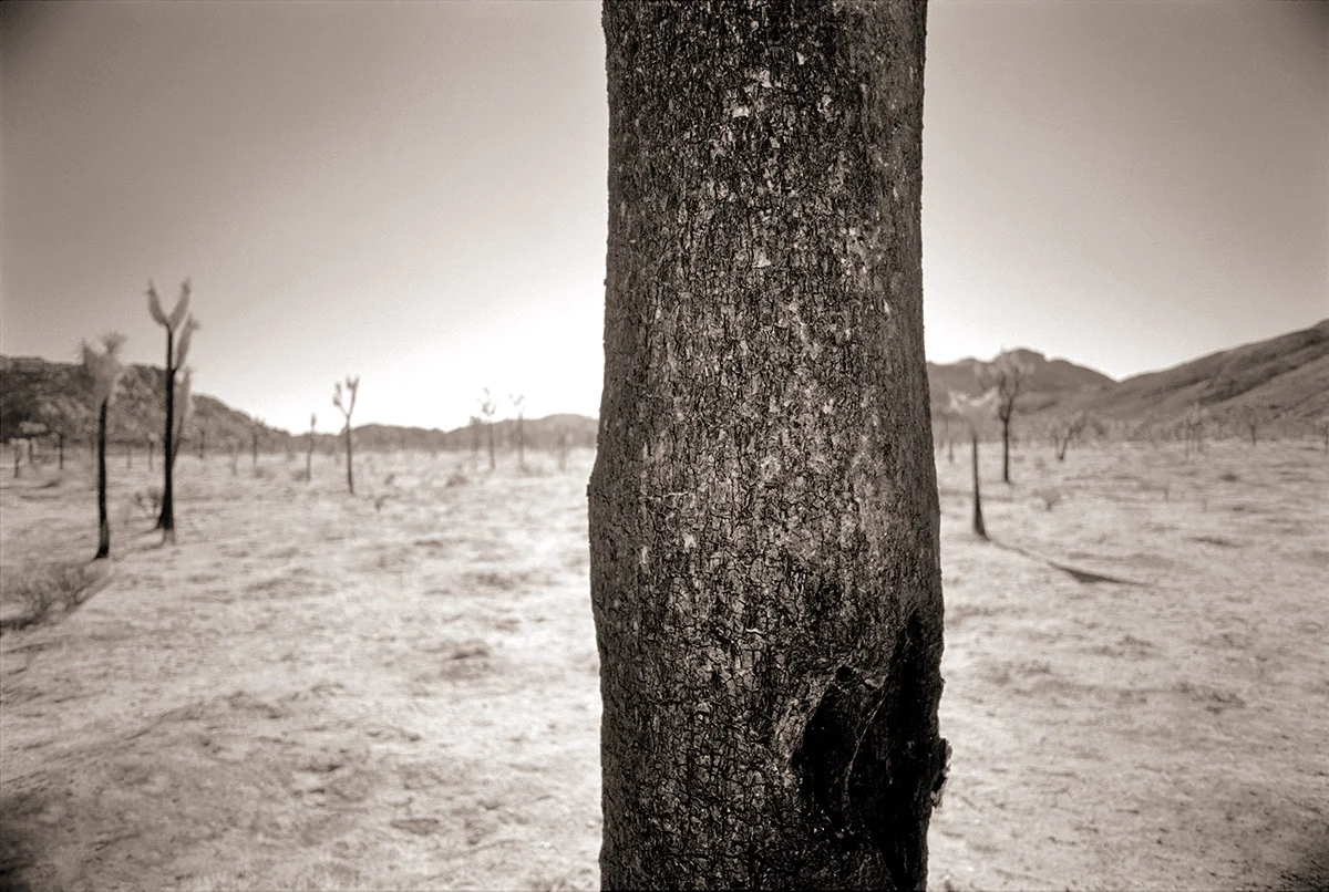 ENVIRONMENTS094.jpg