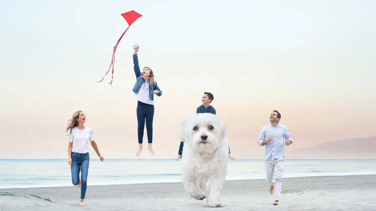 Fam_Dog_Cohen.jpg