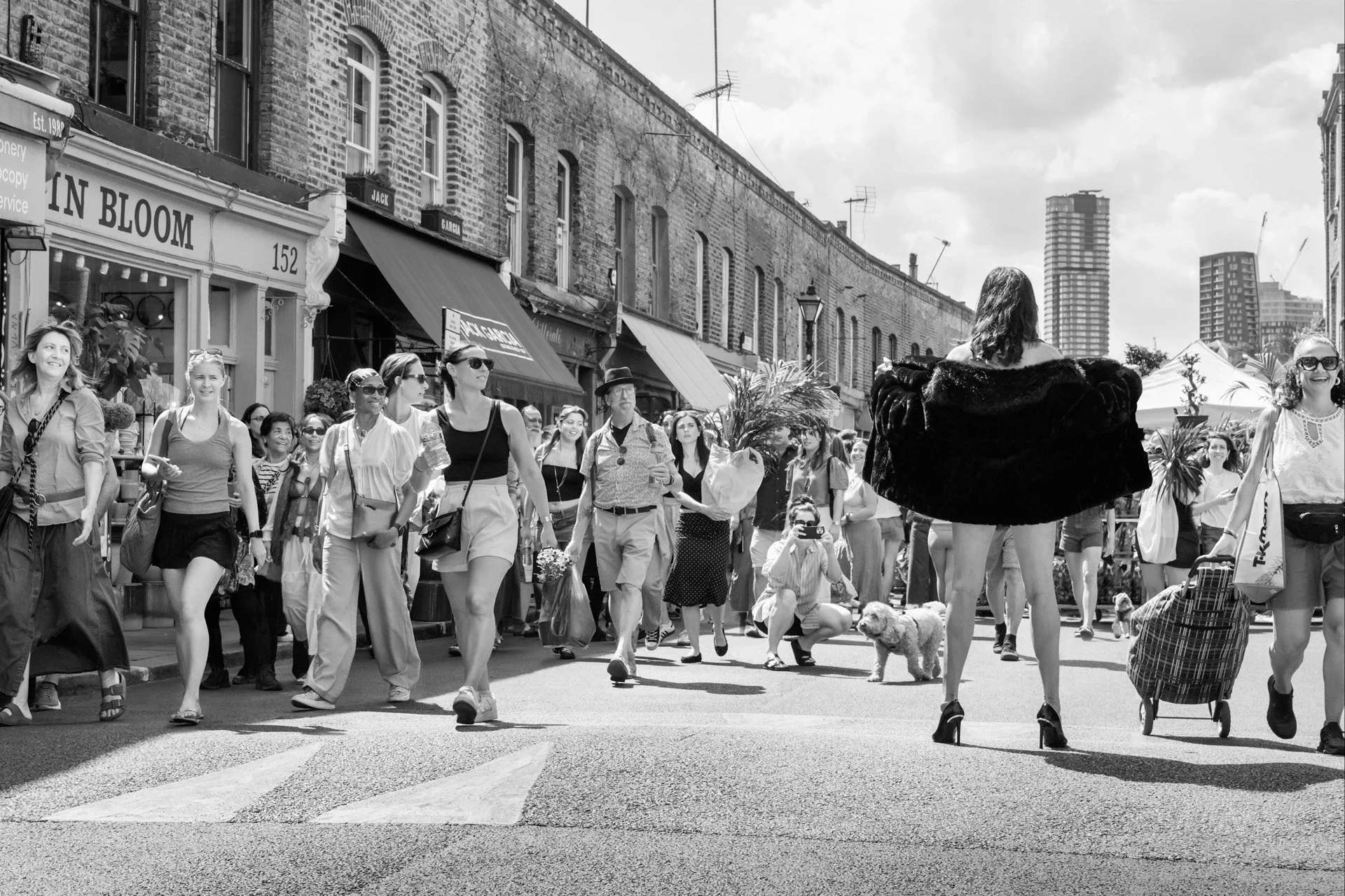 JLP_3141-Edit.8fl_bw.1_Katie_ColumbiaRdFlowerMarket.jpg