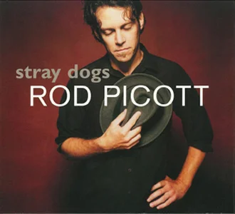 Stray Dogs