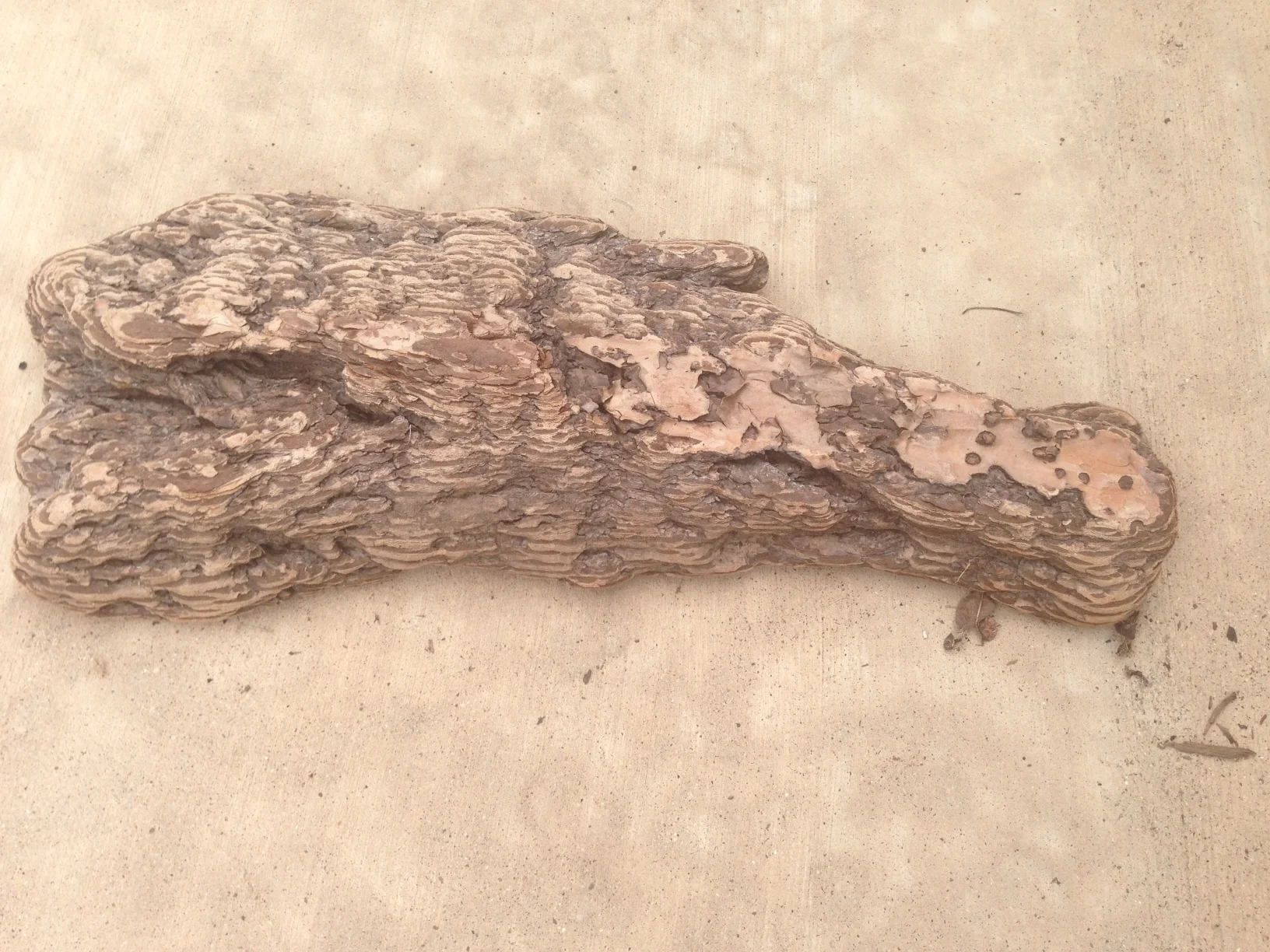 Driftwood #3 front