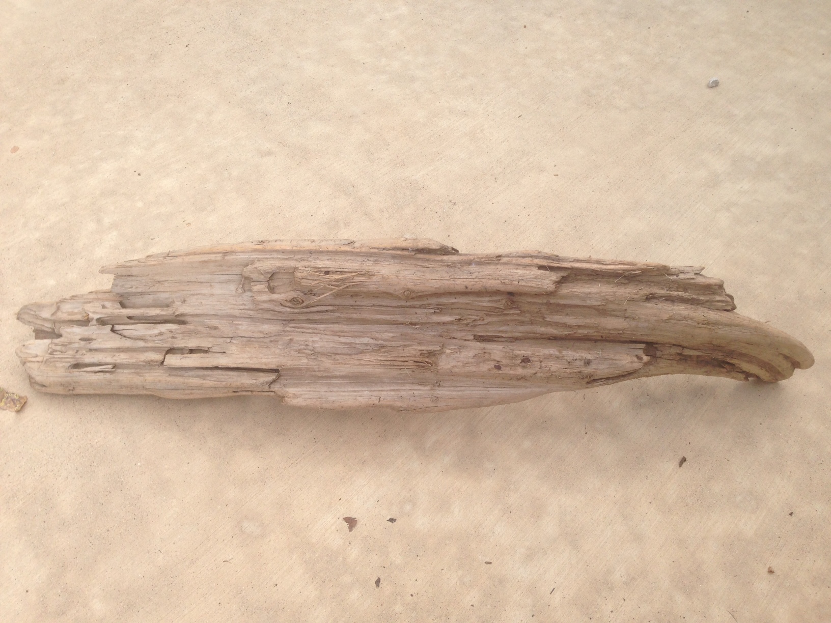 Driftwood #4