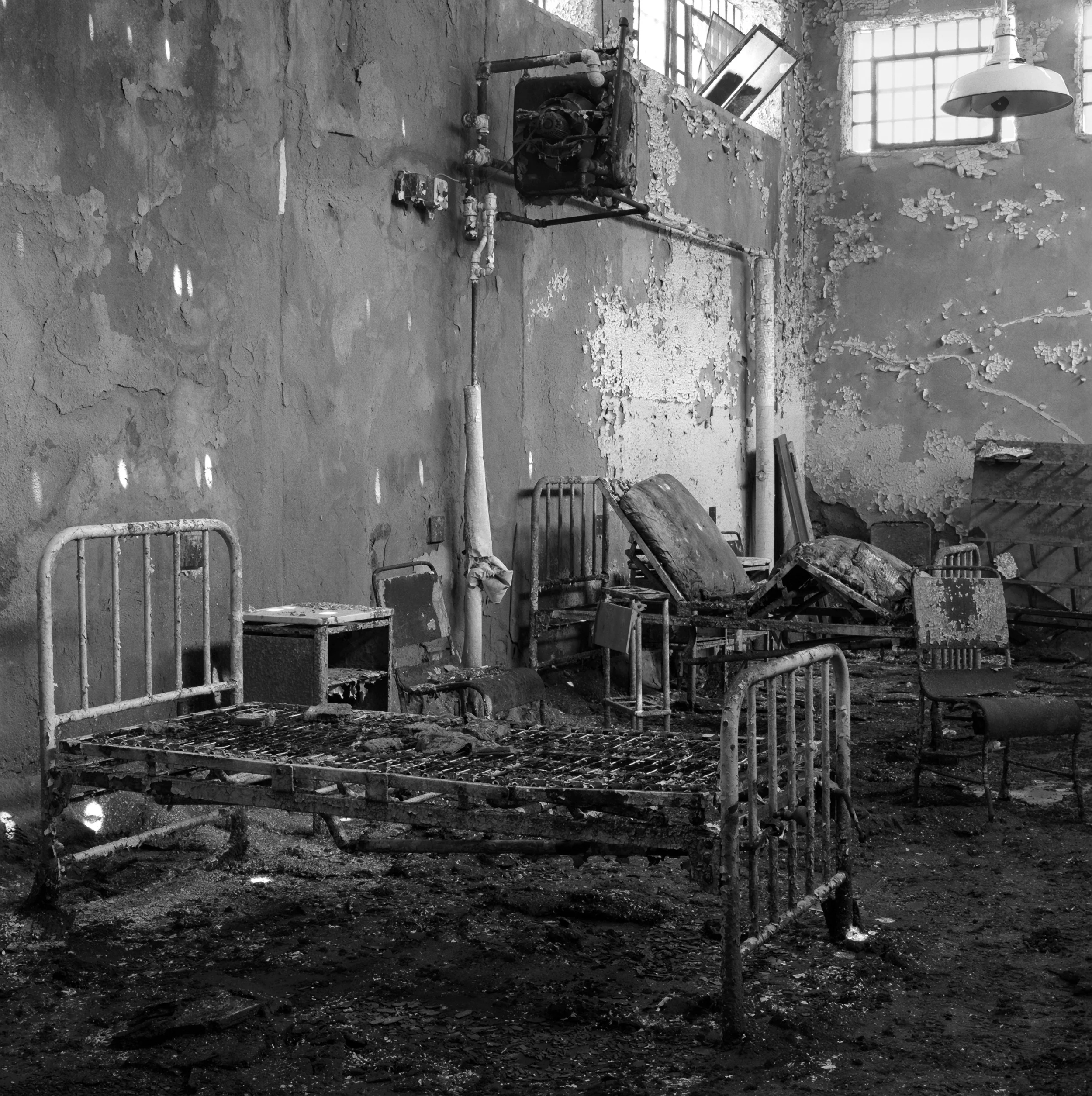 The Ward