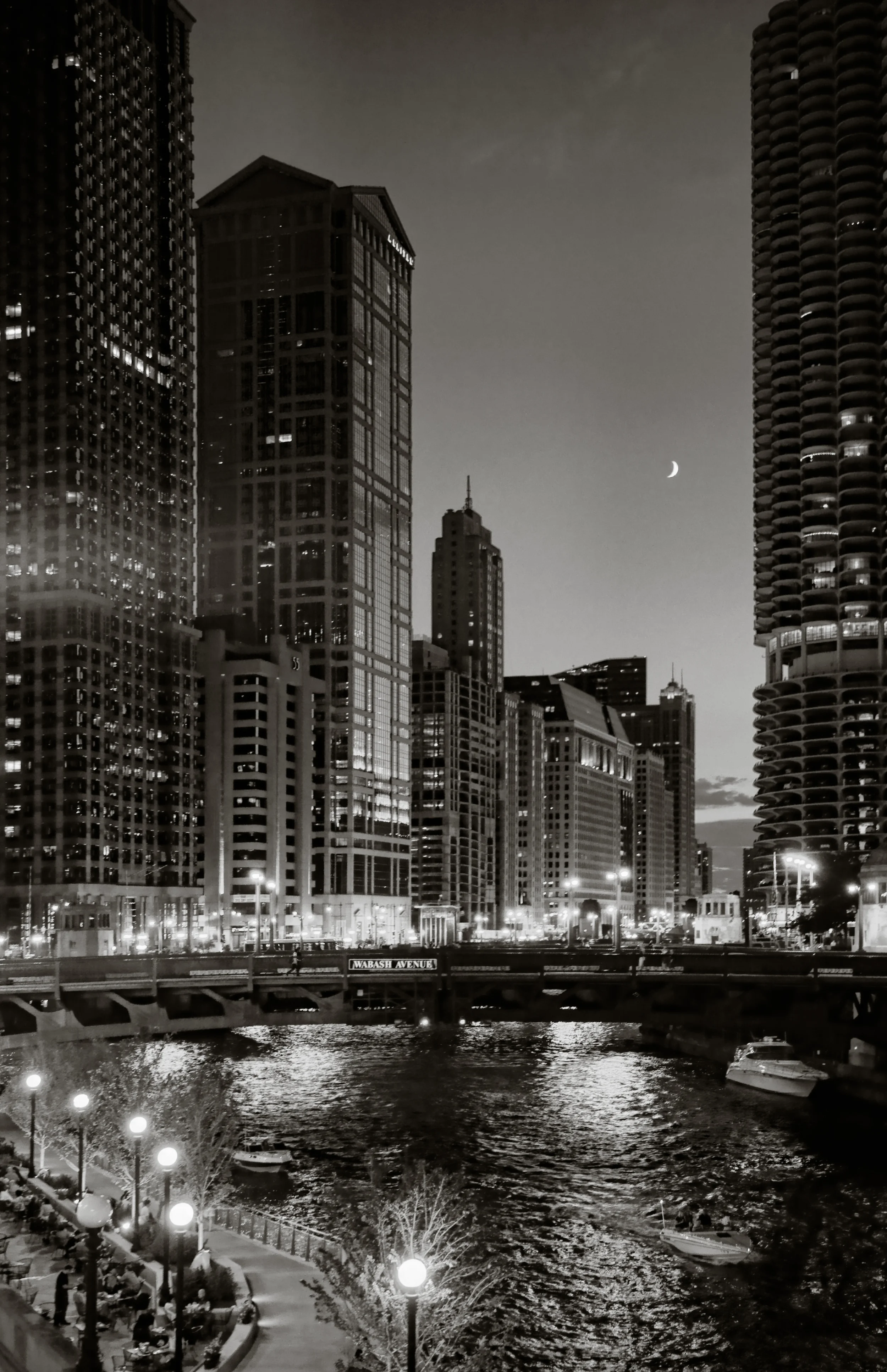 Crescent Moon Over Chicago