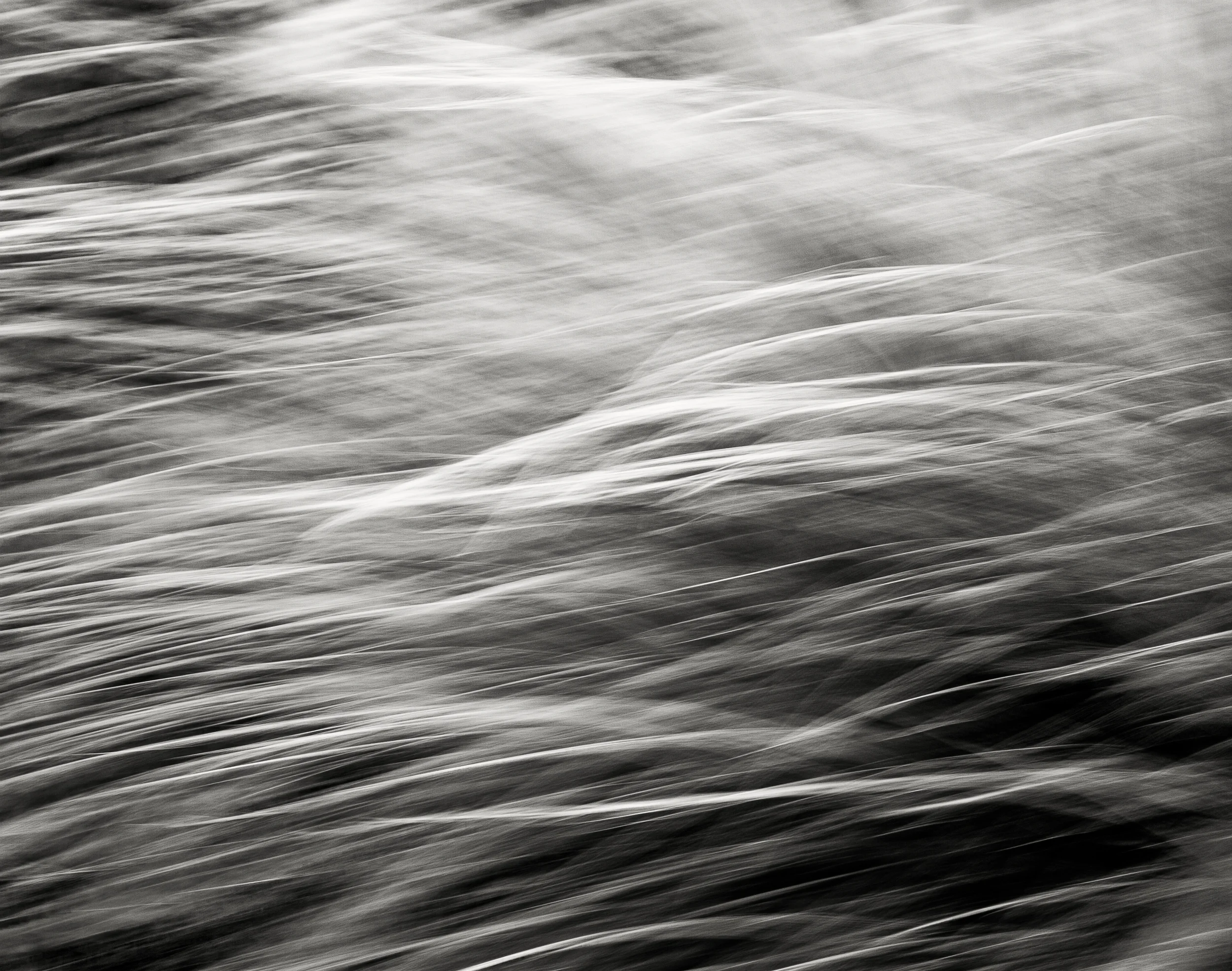 Pacific Grasses