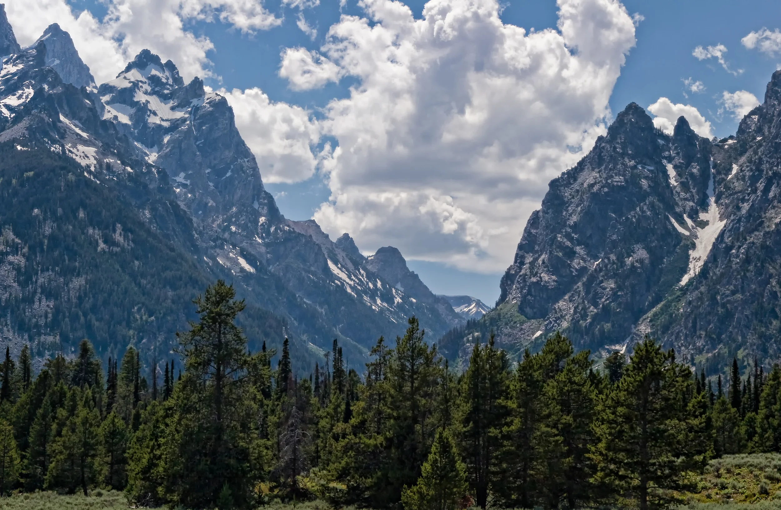 Natural Guardians of the Tetons