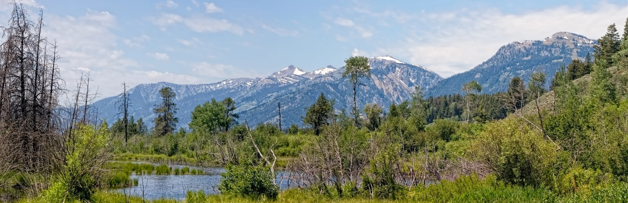 Tetons In the Distance, Panoramic View