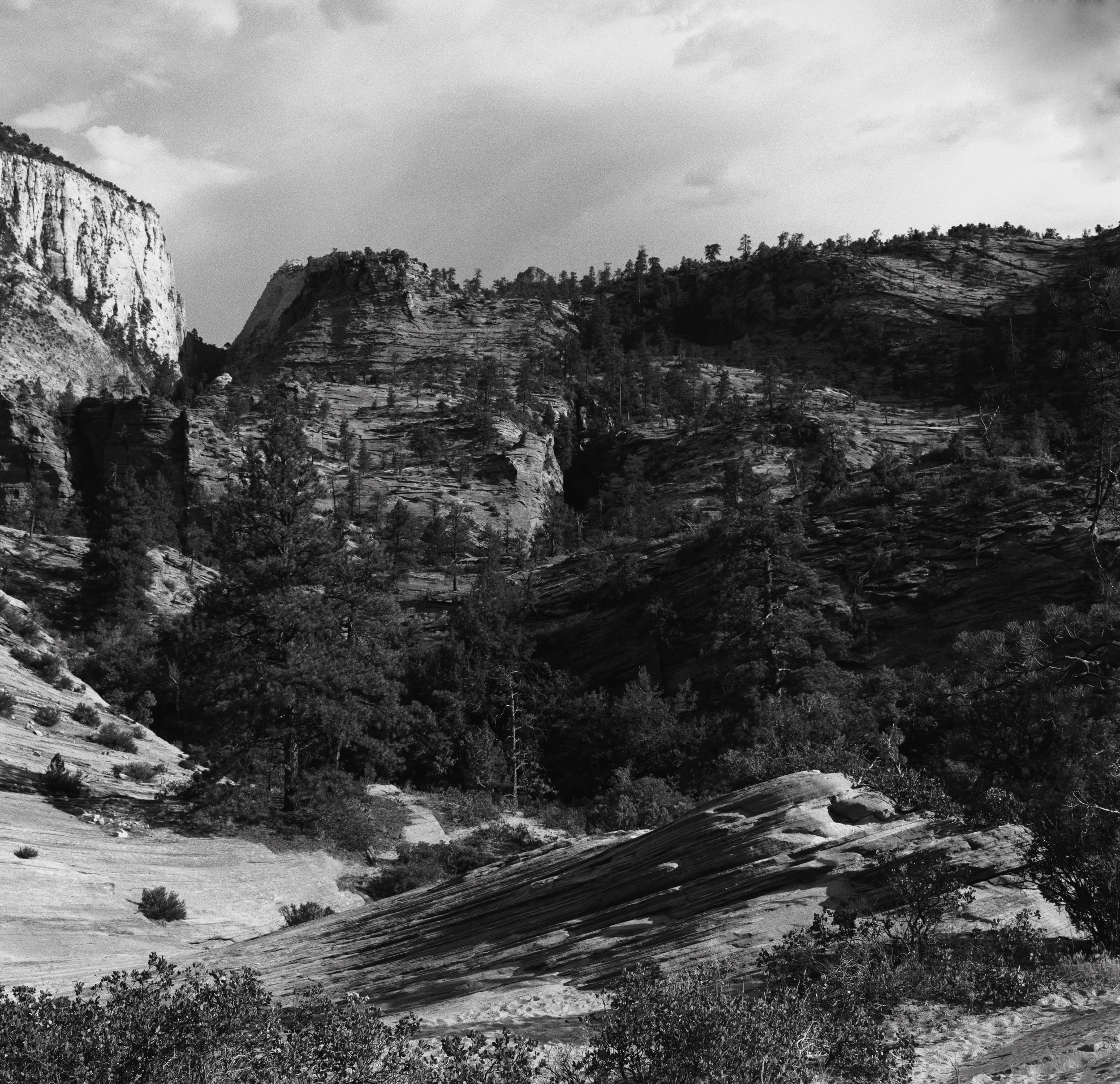 Zion Standing Rock