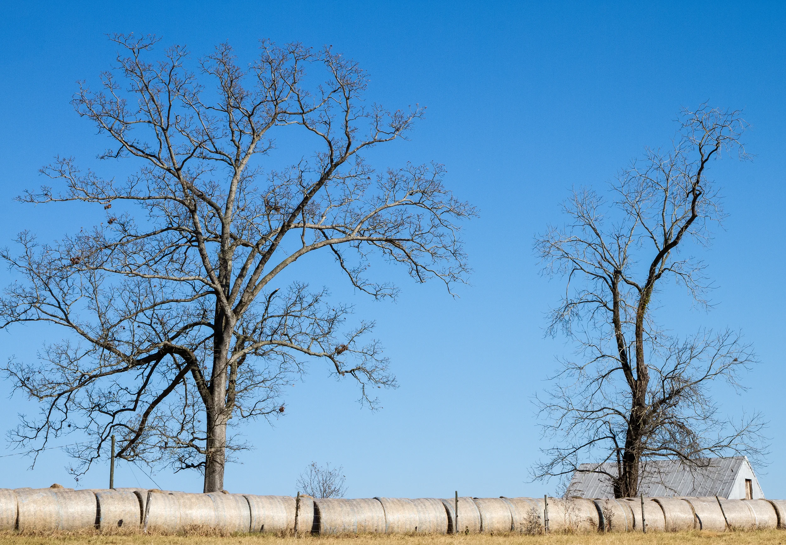 Country Living