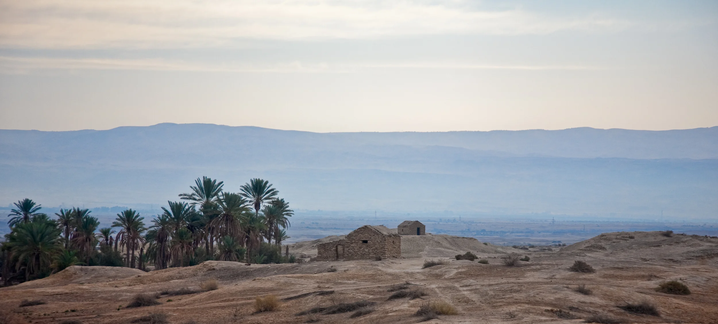 At Home In the Desert