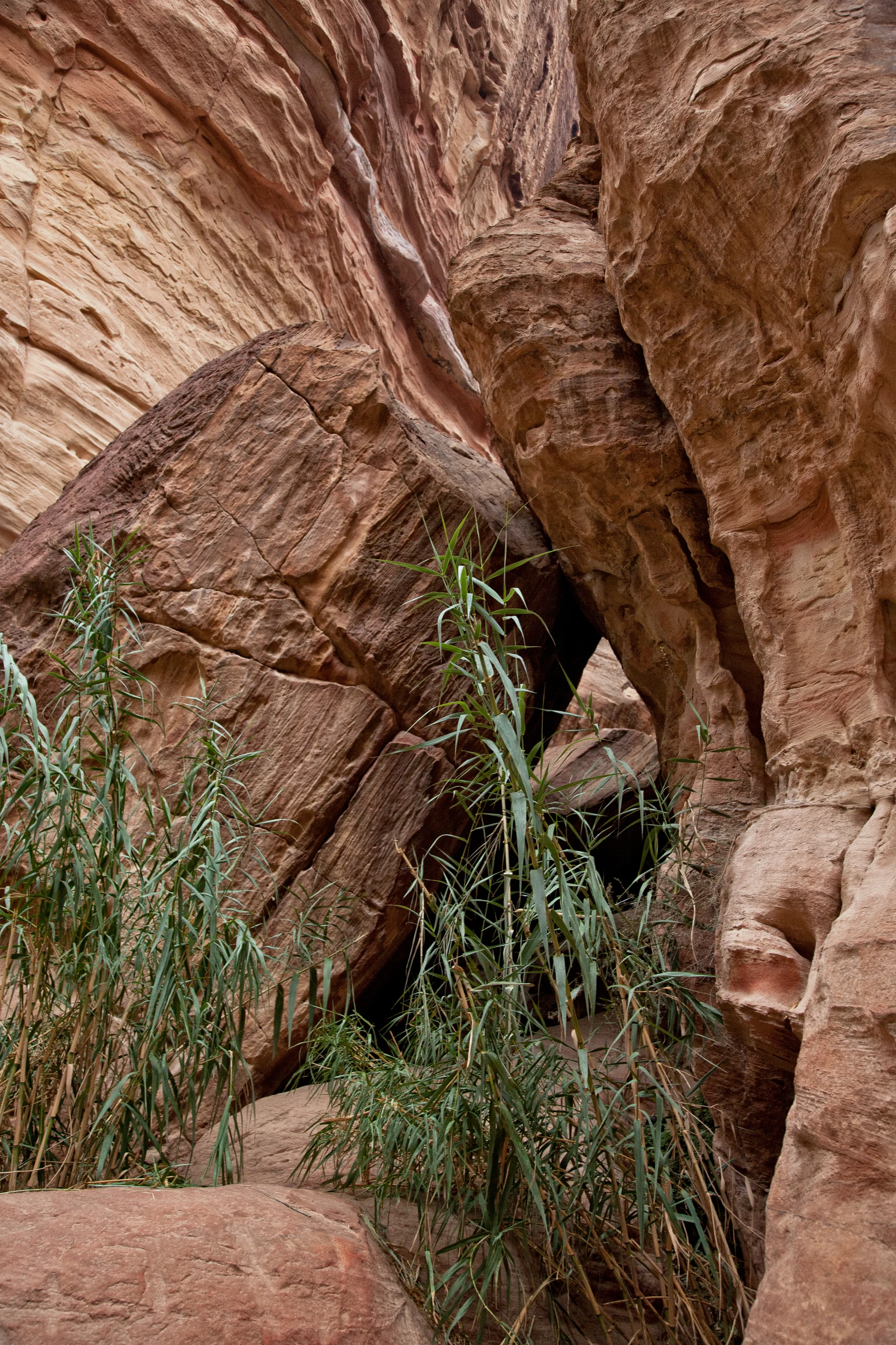 The Opening In the Rock