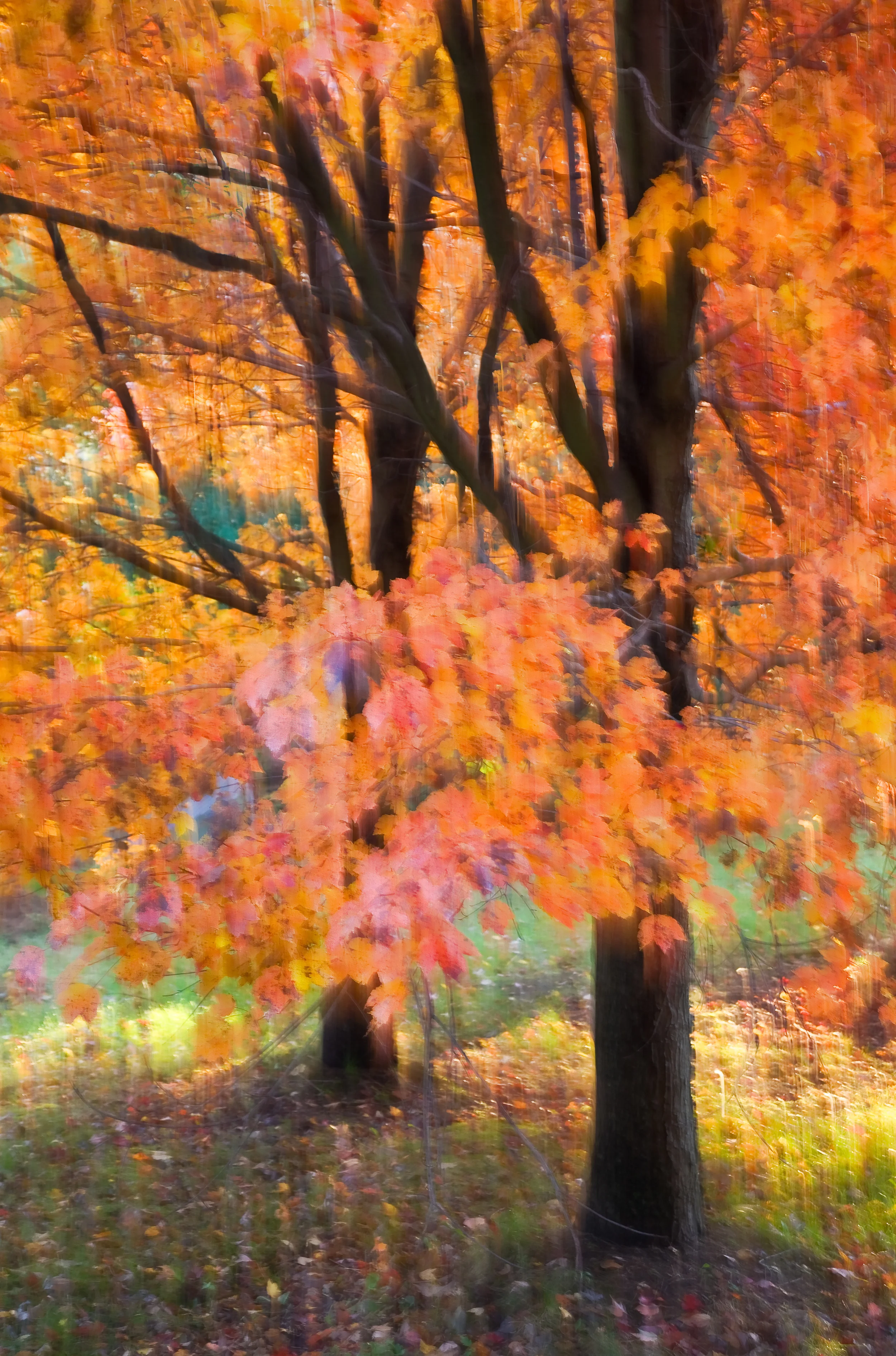 Autumn Ballad
