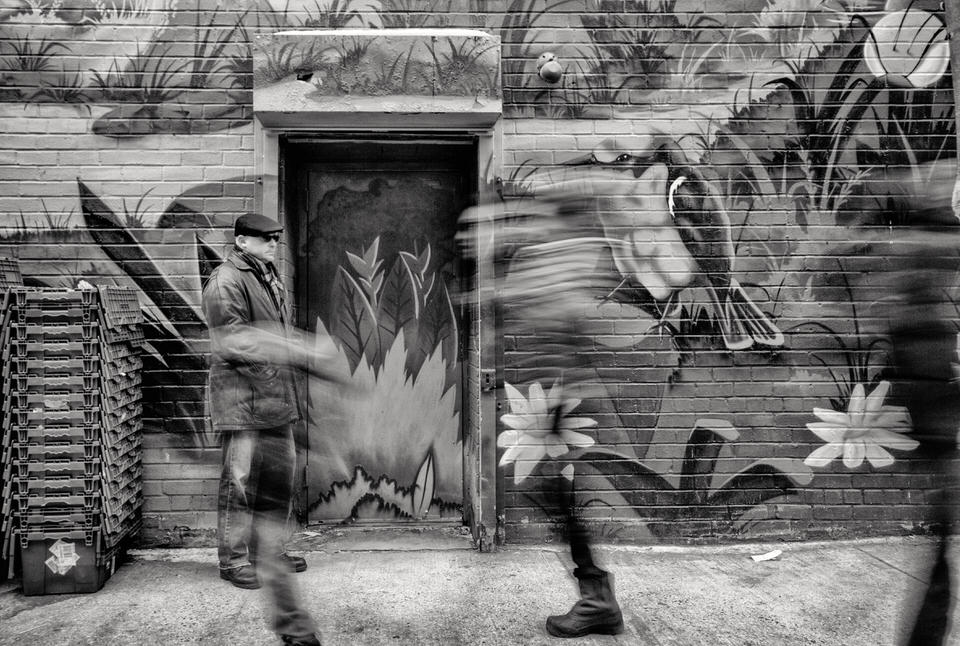 Urban Jungle