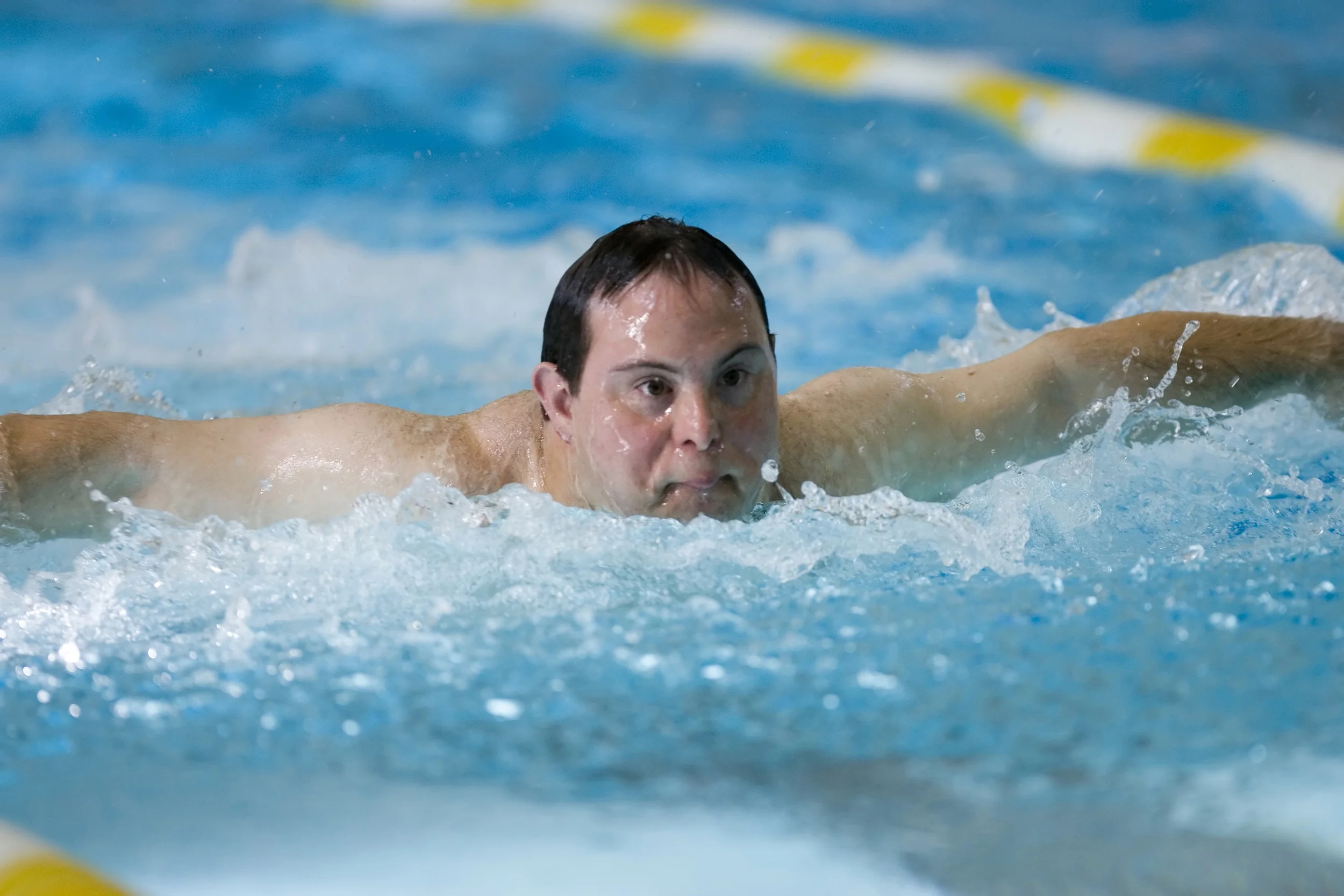 david egan butterfly 1.jpg