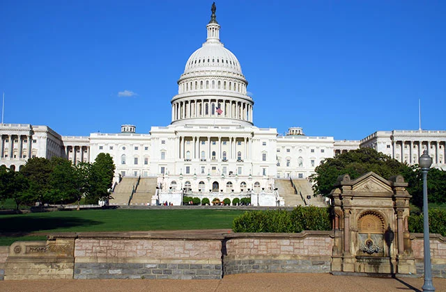 My JP Kennedy Jr. Public Policy Fellowship 