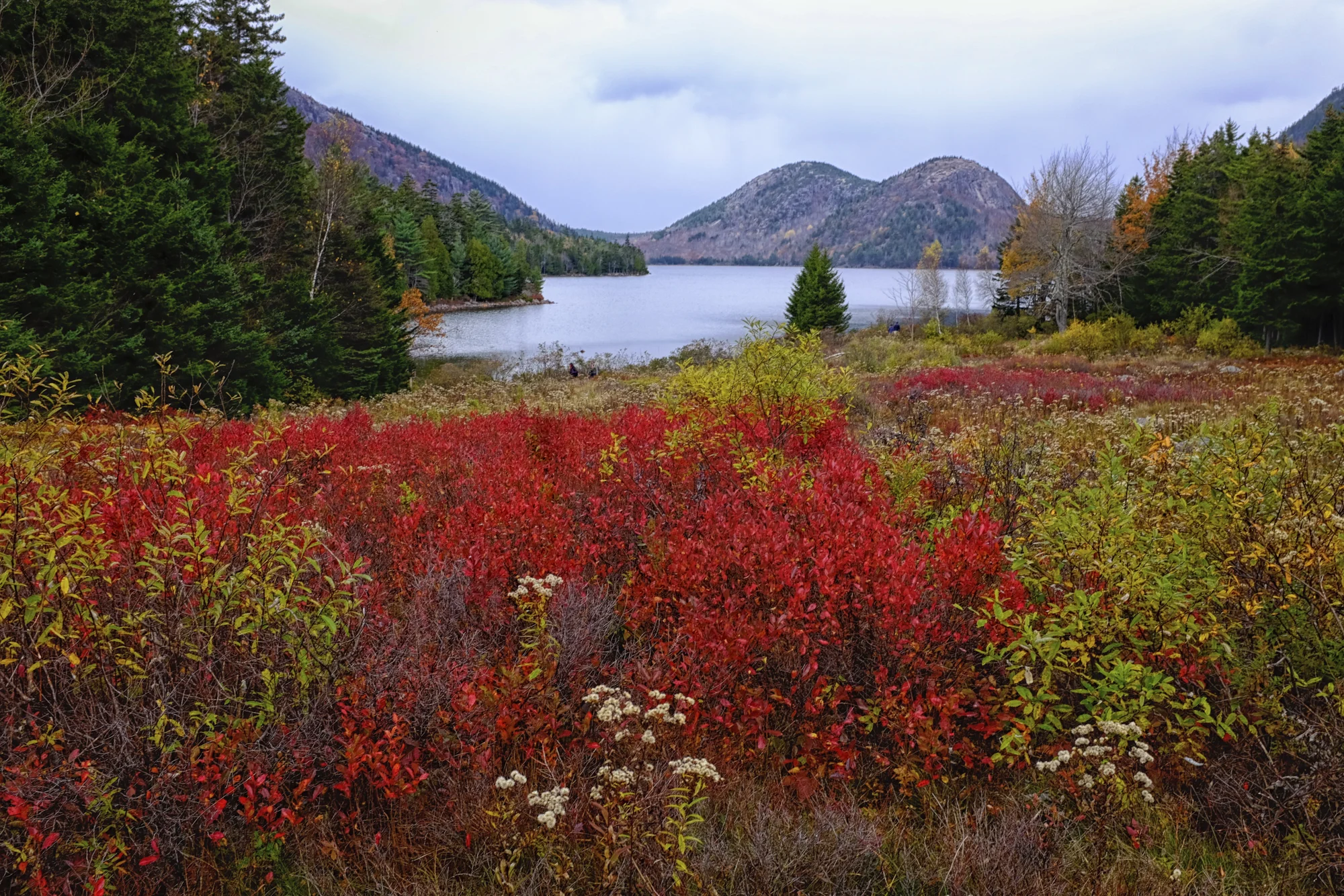 Jordan Pond Lawn, Acadia National Park, Maine
