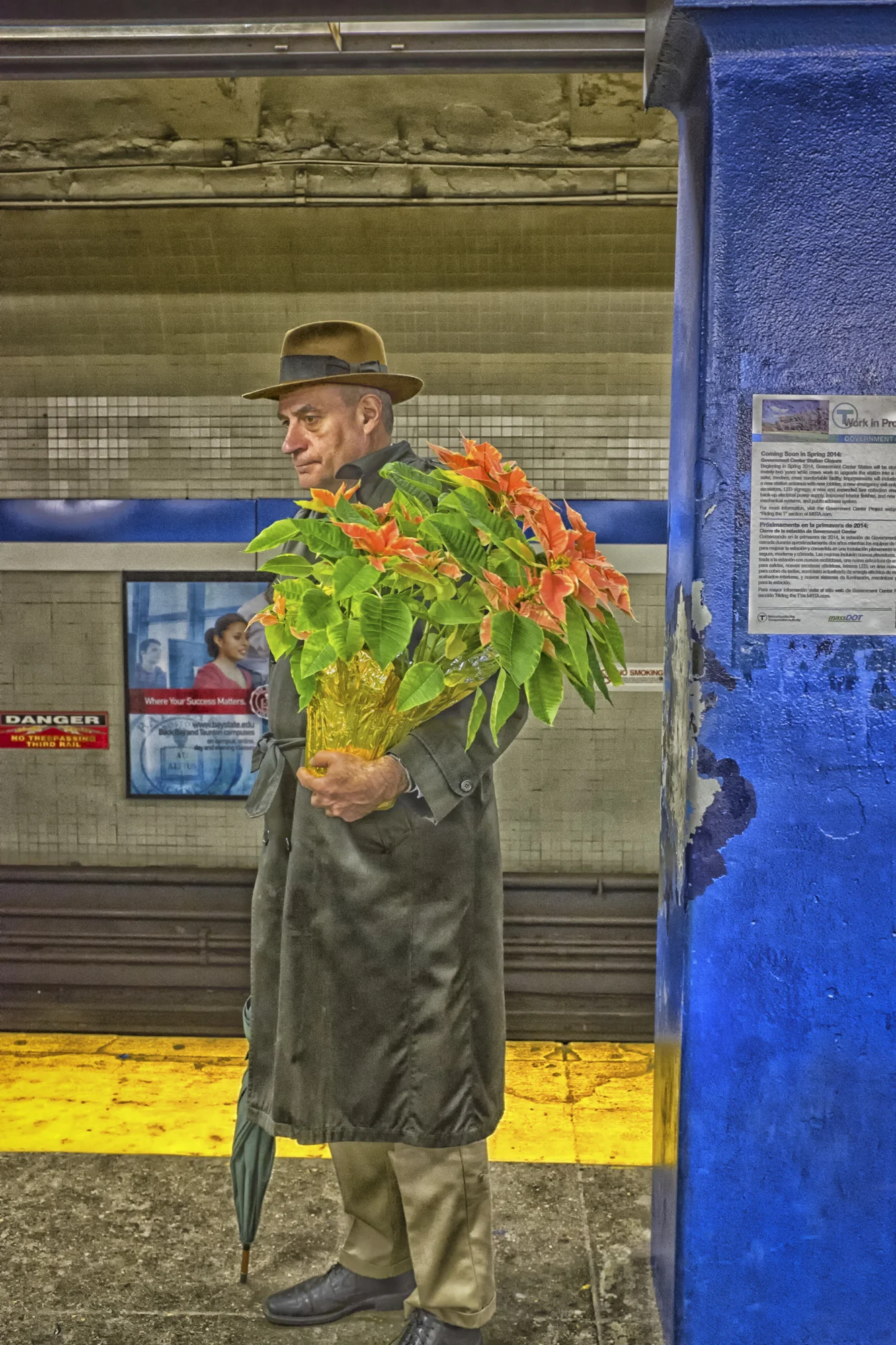 Blue Line Poinsettia, Government Center Subway, Boston, MA