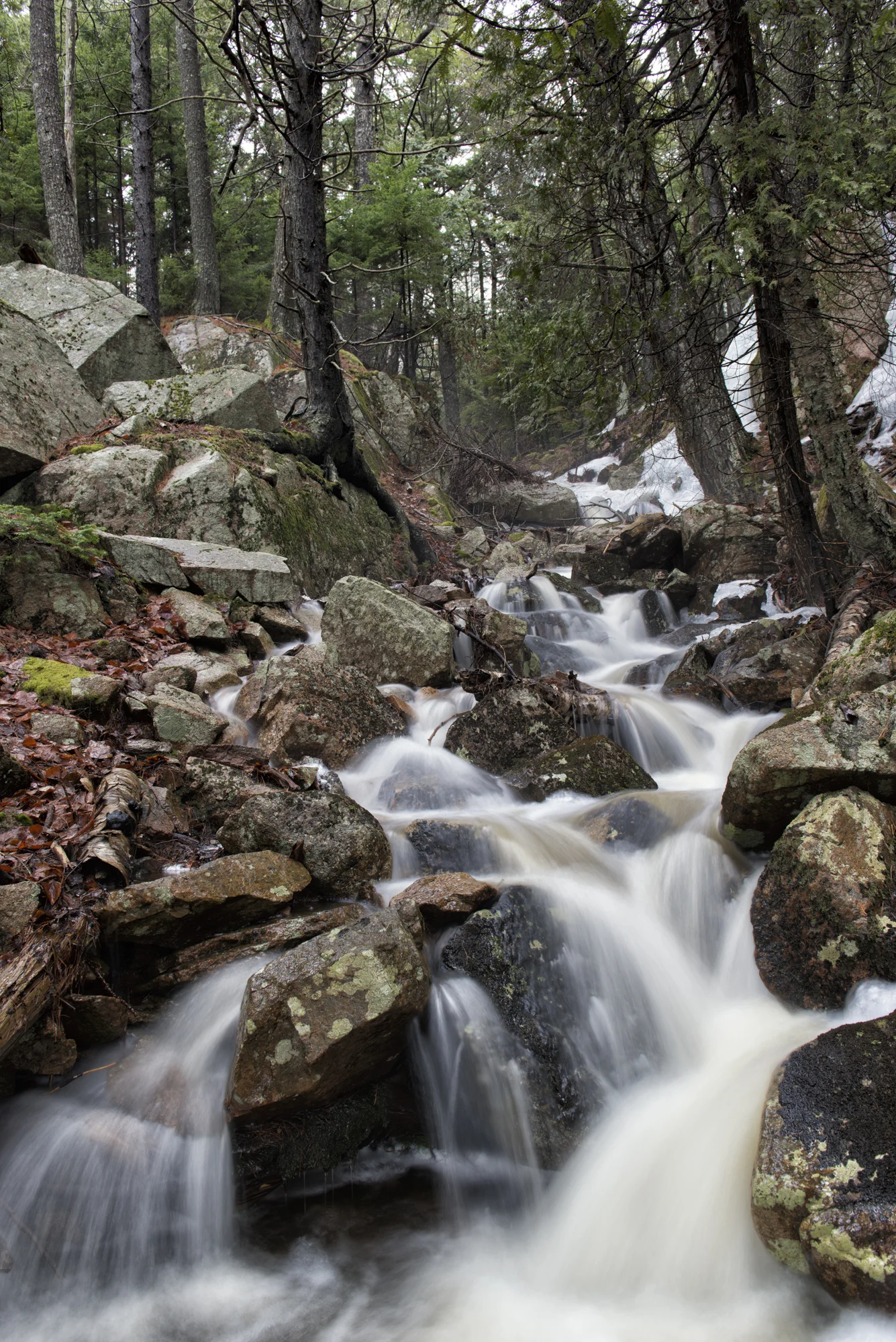 Swelling Stream, Sergeant Drive, Northeast Harbor, Maine