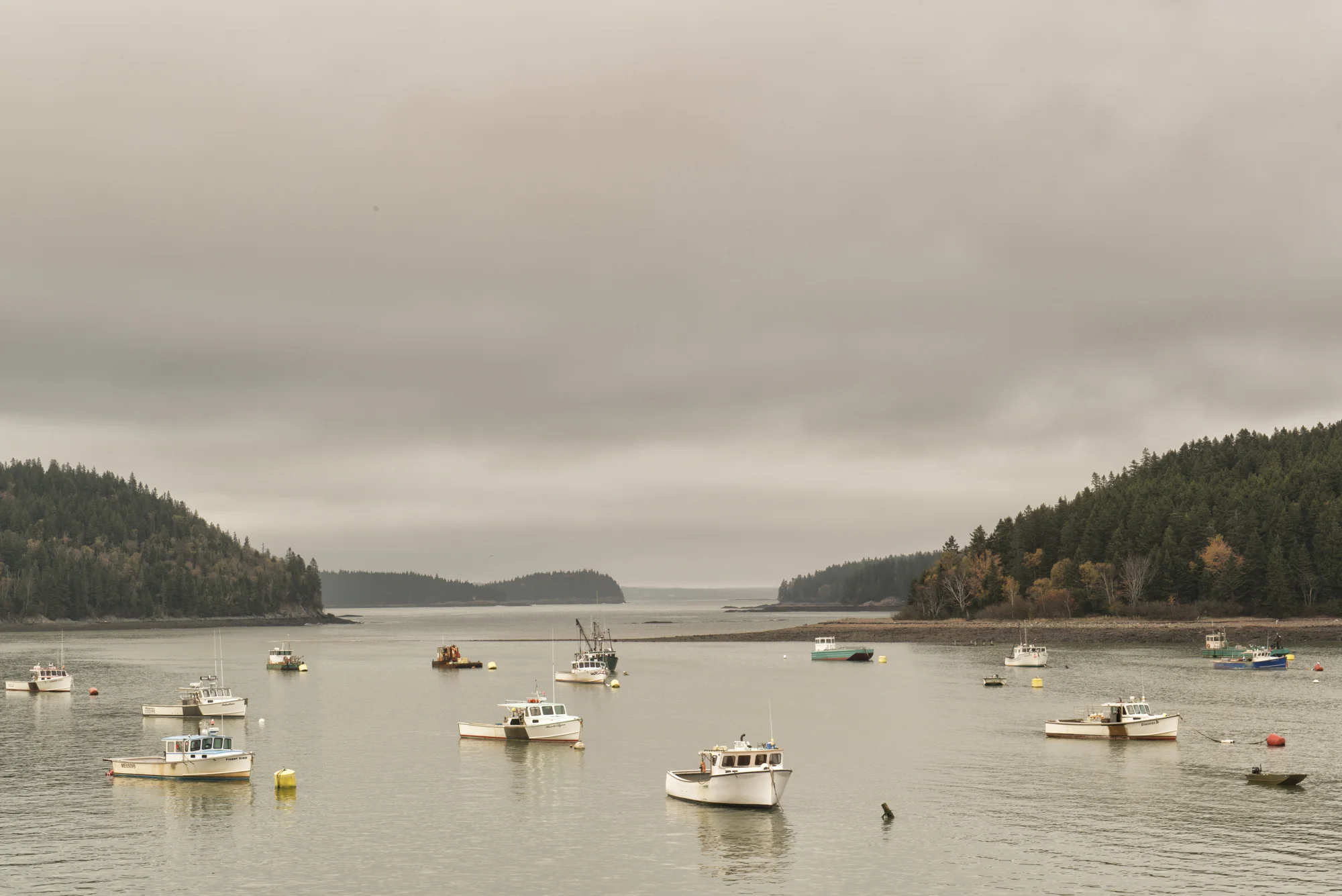 bucks-harbor-machiasport-nik.jpg