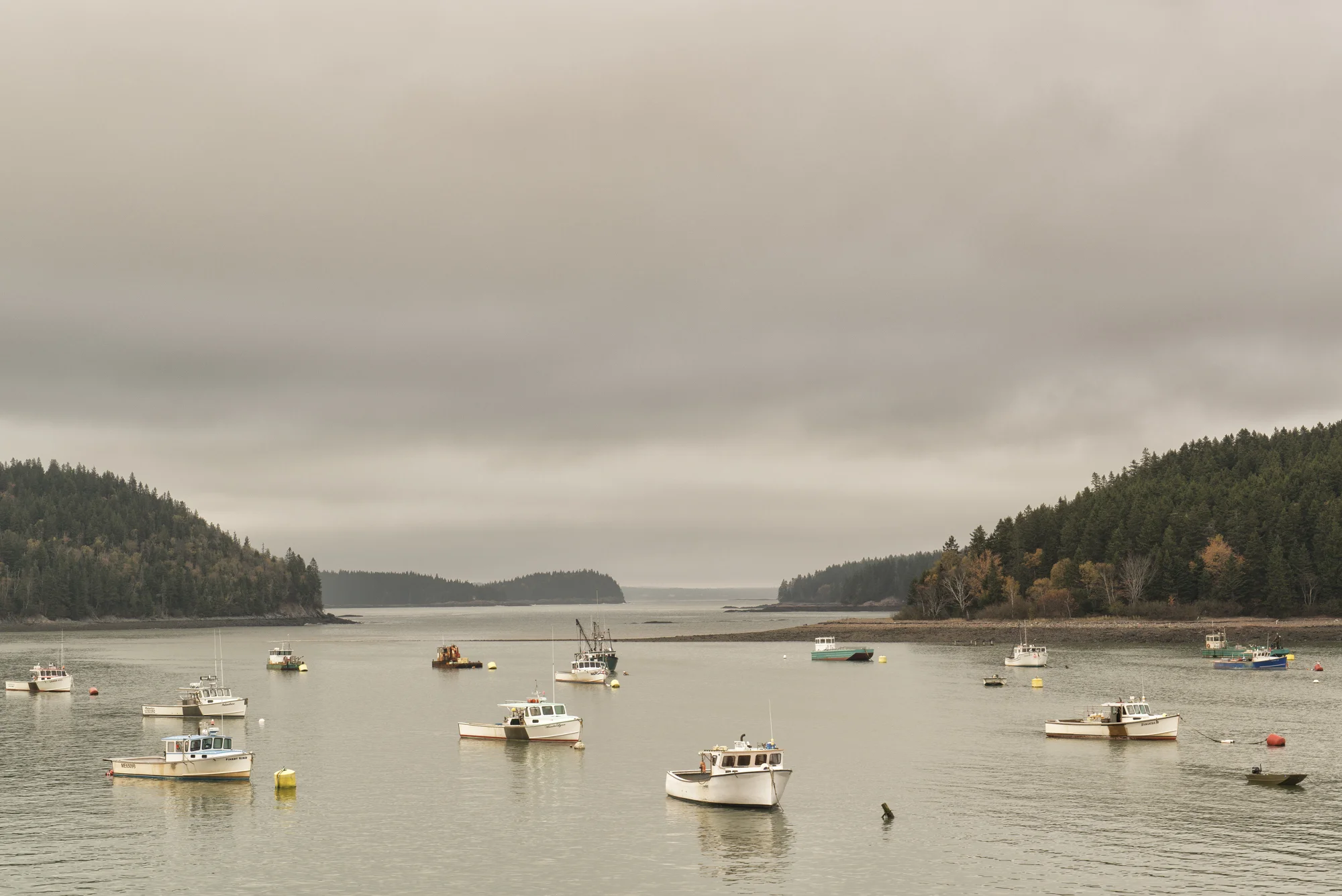 bucks-harbor-machiasport-photoshop1.jpg