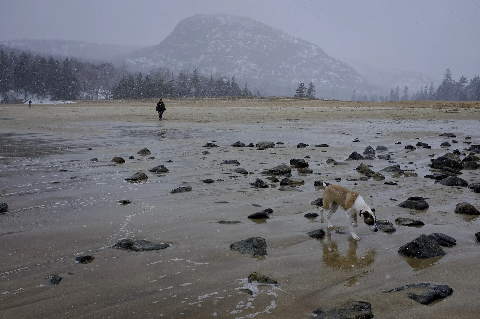 Snowy Sand Beach, Acadia National Park, Maine