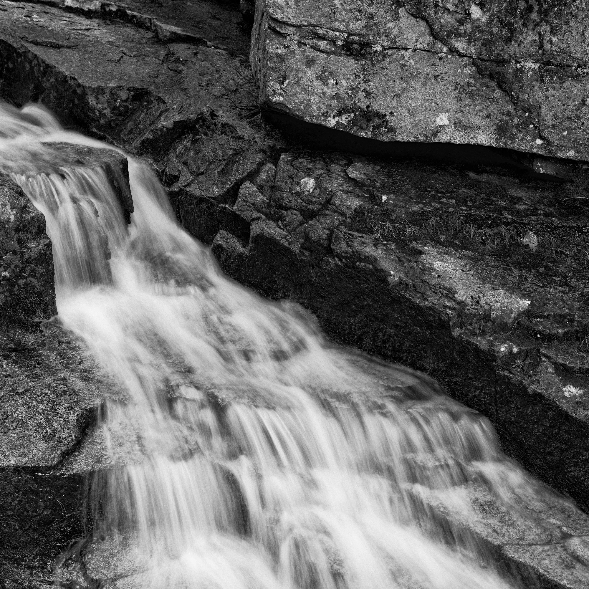 Spring Stream, Cadillac Mountain, Acadia National Park, Maine