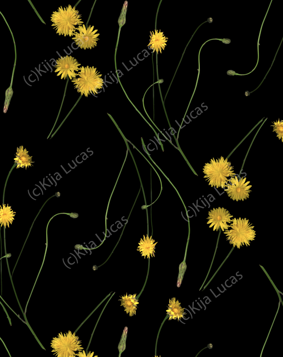 Screenshot 2024-10-22 at 1.24.56 PM.png