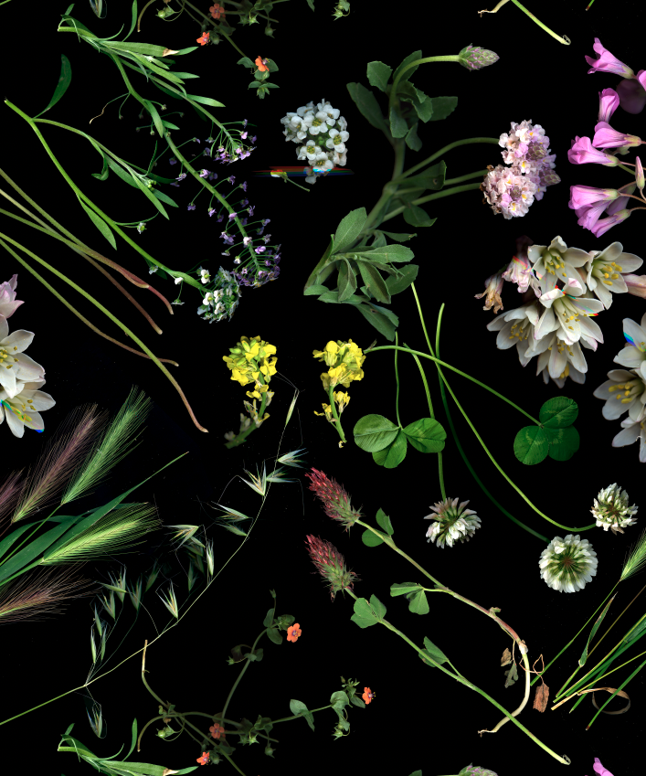 Screenshot 2024-10-22 at 12.59.42 PM.png