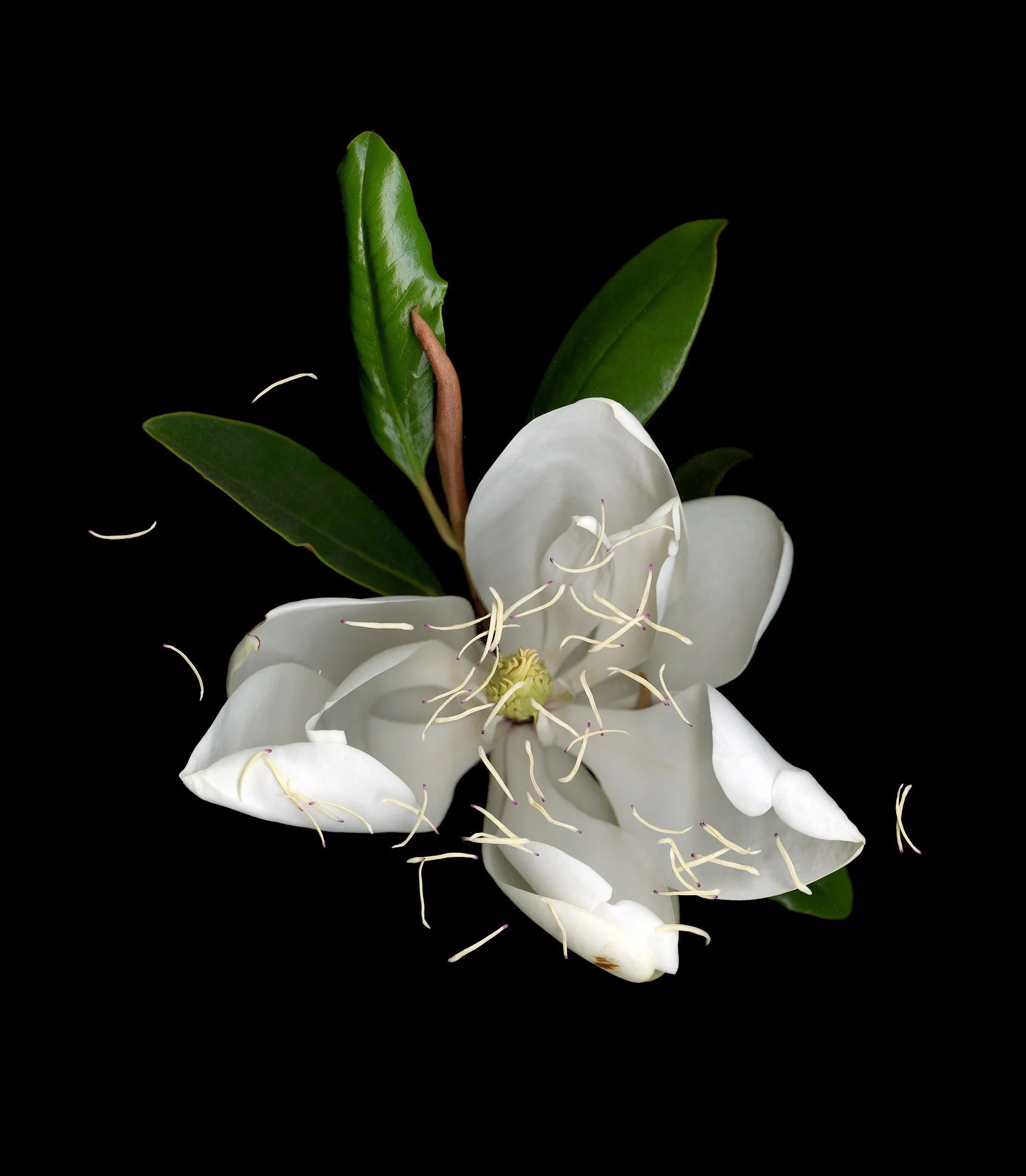 In Search of Home, Bay Area 553, 2021, 40x30" ed of 5, Inquire for pricing