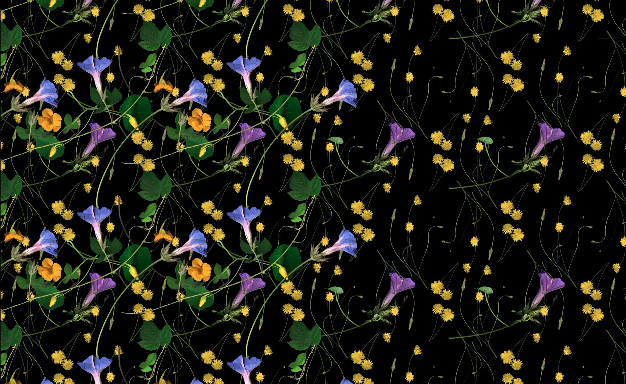 Image 6-21-24 at 3.11 PM.jpg