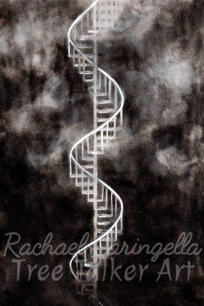 The Spiral Art | Tree Talker Art | Rachael Caringella