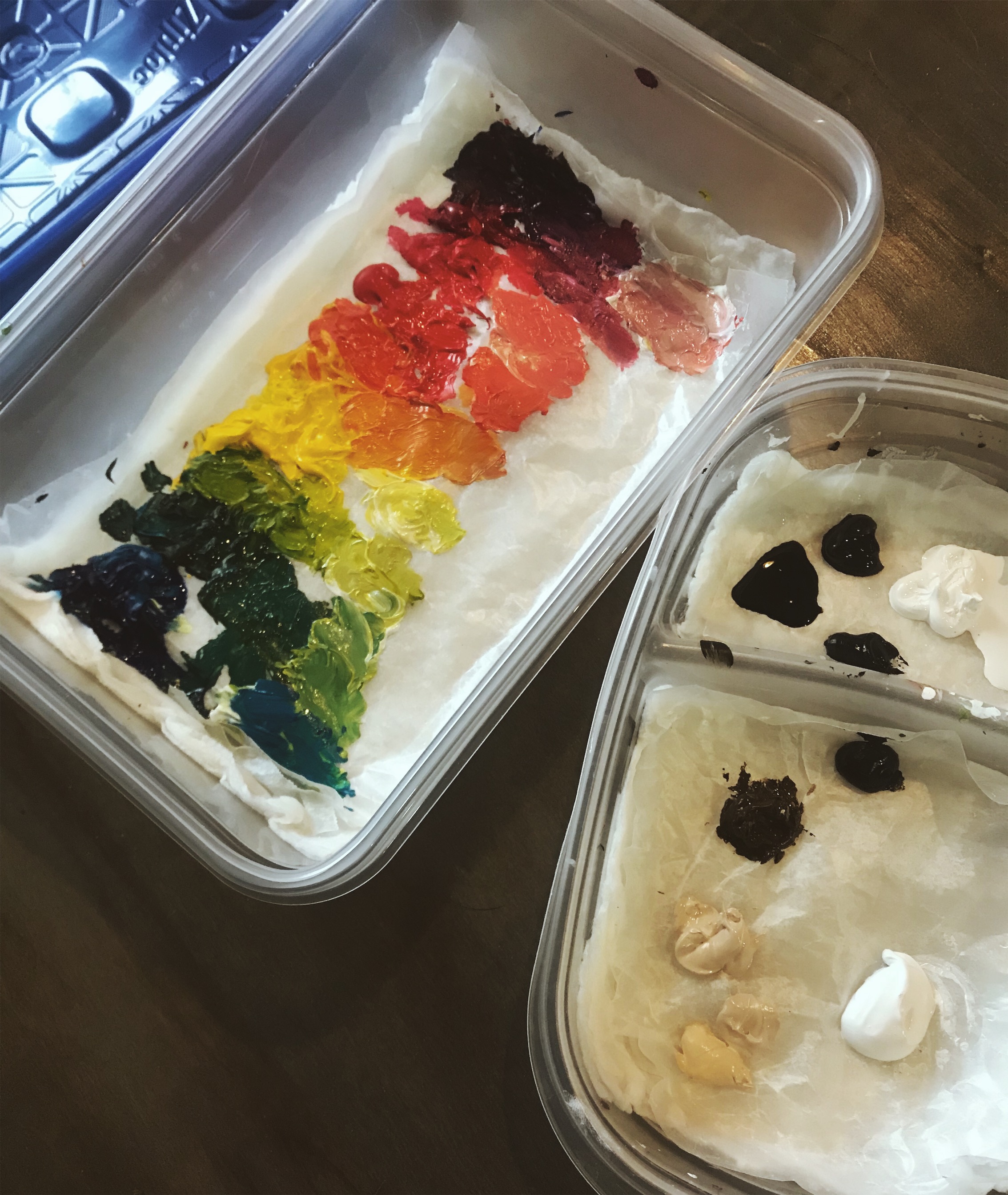 How to Make a Wet Palette for Acrylic Paints: Cheap, Easy