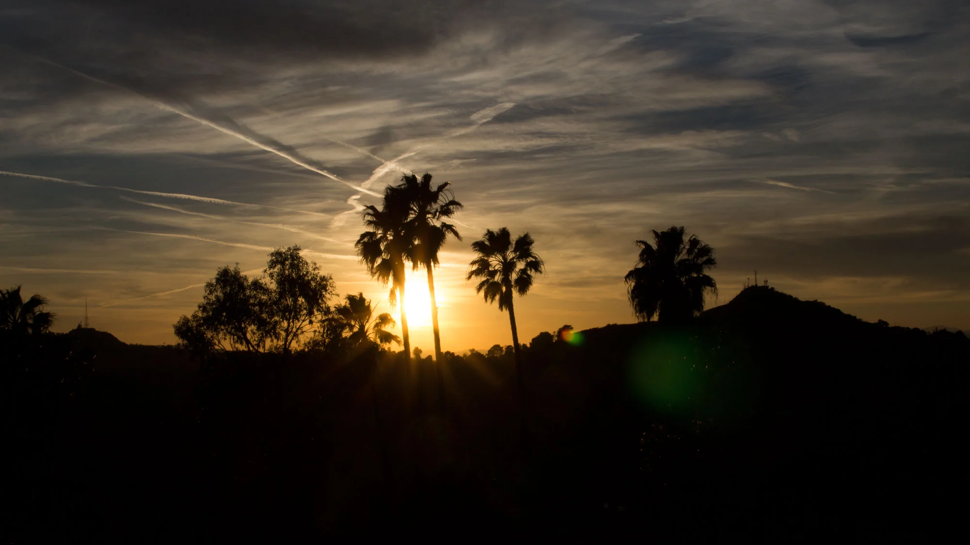 Runyon Canyon, Los Angeles | United States