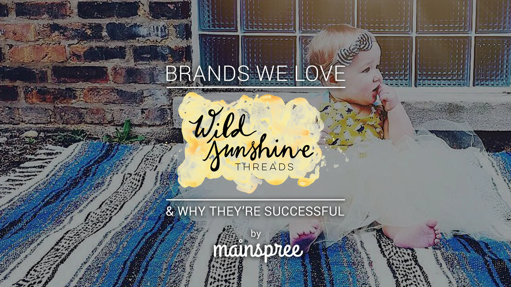 "Brands We Love" Blog Promotion