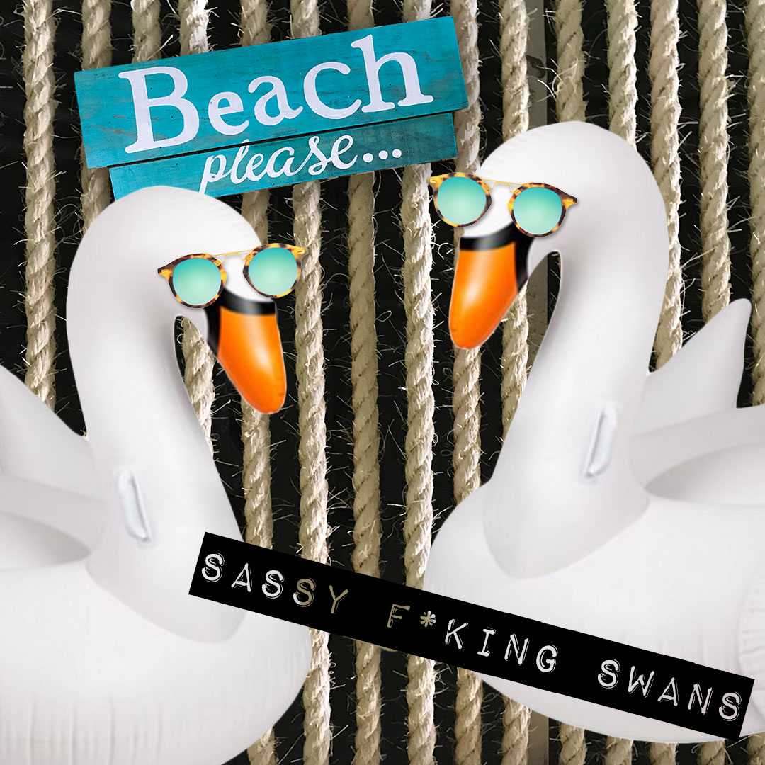 GPT-Insta-sassy-swans.jpg