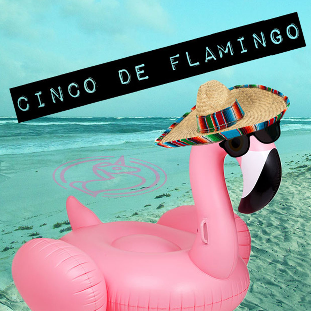 GPT-Insta-Singles-cinco-flamingo.jpg