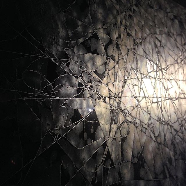 Frost on a door collection circa 2014 #decadedigital #digitalart #glitchart #macrophotography #frost #glass