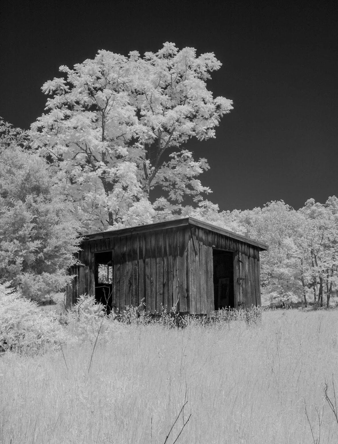 DSC_1935.jpg