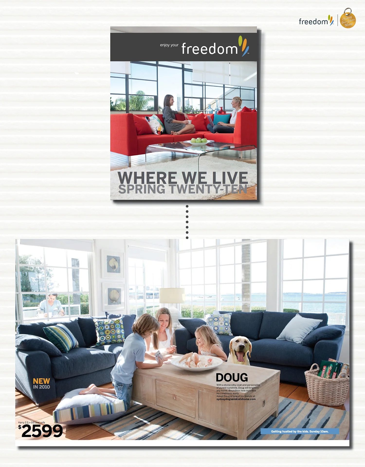 At first glance it will appear as though the caption is for the table when it is actually for the dog in need of adoption.