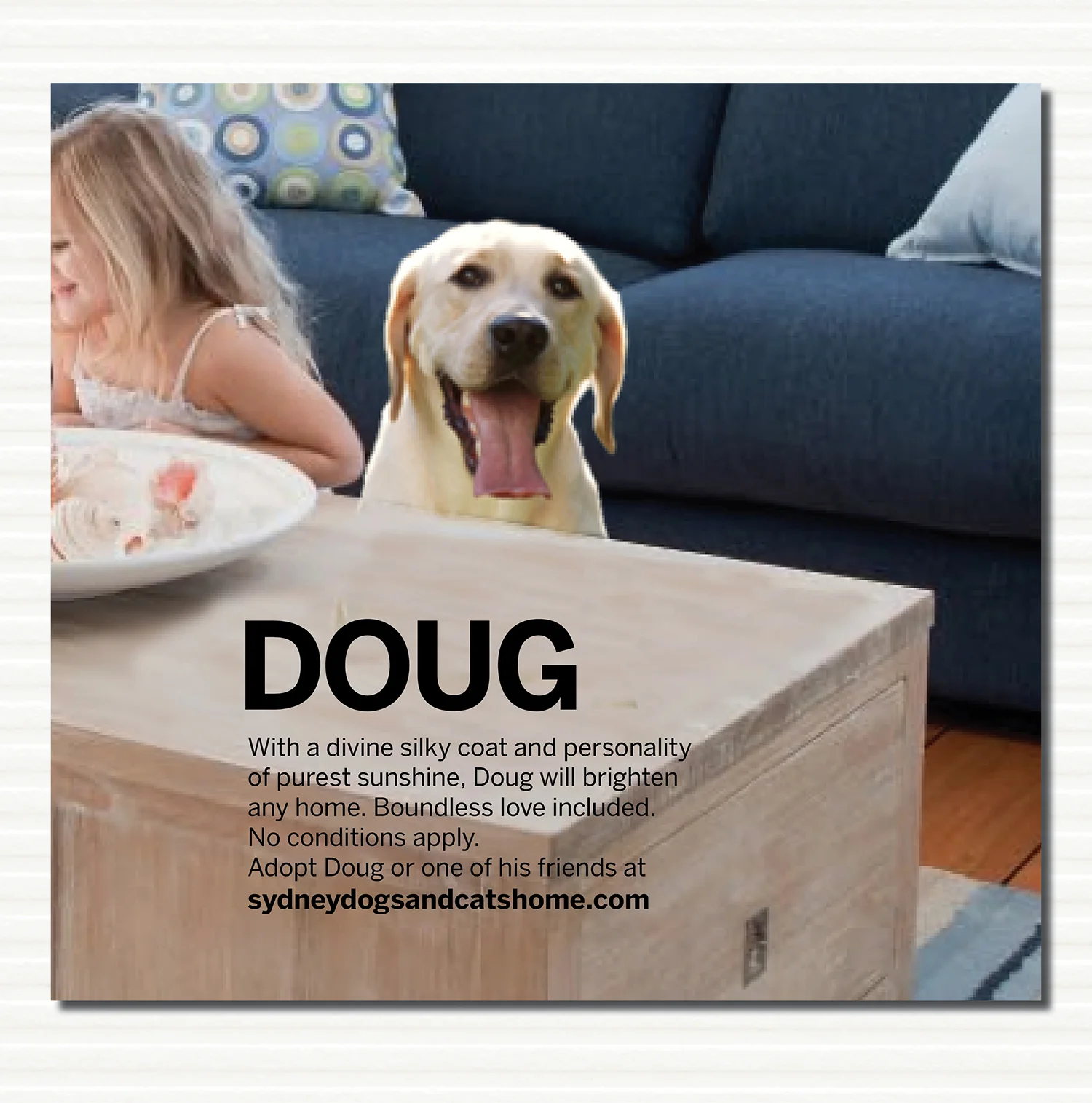 The animals could be part of the monthly catalogue photo shoot or could be photoshoped into existing shots.